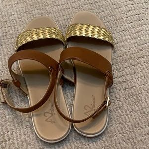 Gold and Brown Sandals
